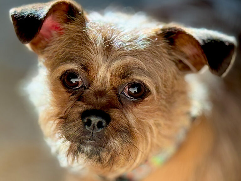 COVID Crashed My Birthday