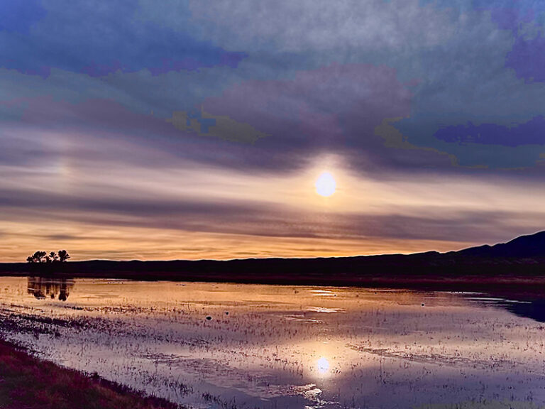 What Can I Do the Most Beautifully?