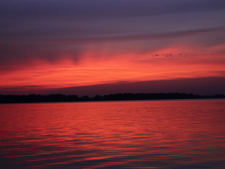 We Planned for Everything, But Now