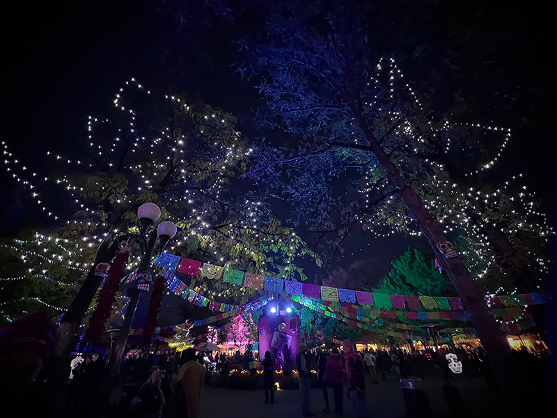 Gifts Beyond the Box