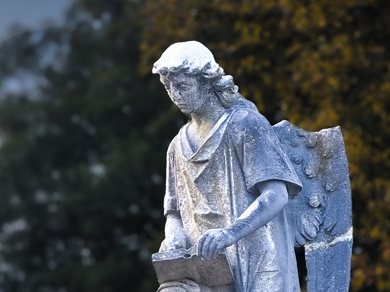 We Didn’t Have That on the Bingo Card