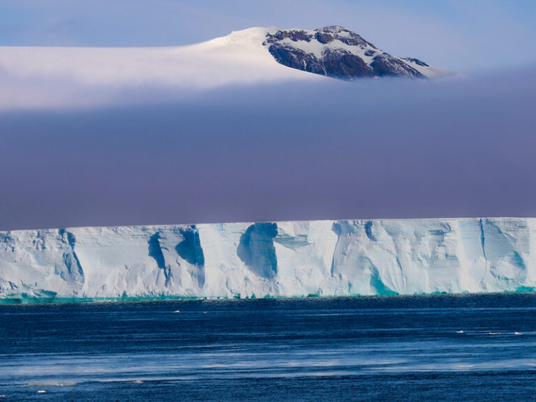 Never Lose Your Sense of Wonder