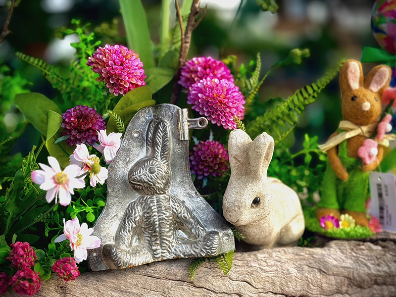 Joy Comes in the Morning