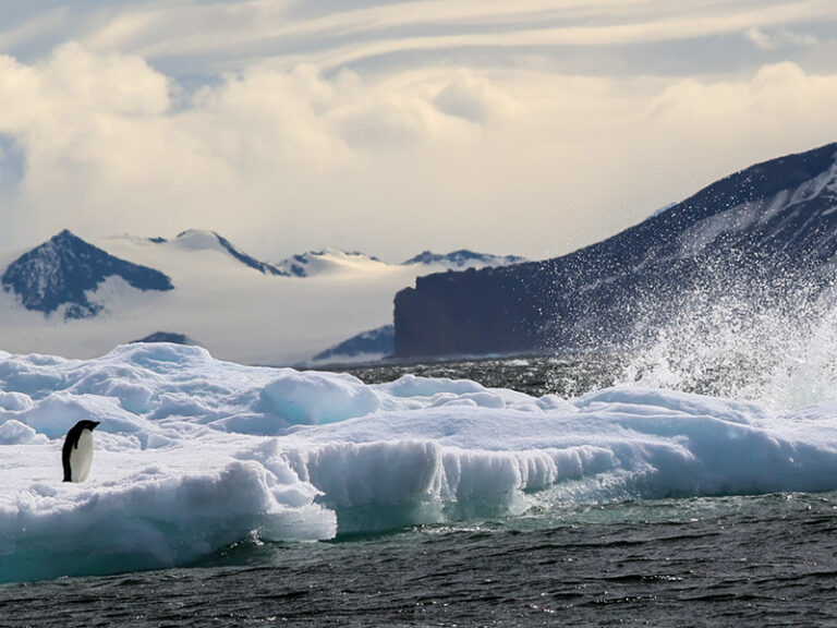 Don’t Let Later Become Never