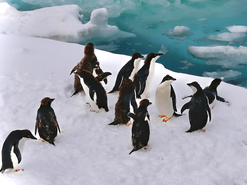 How Small Is Your Circle