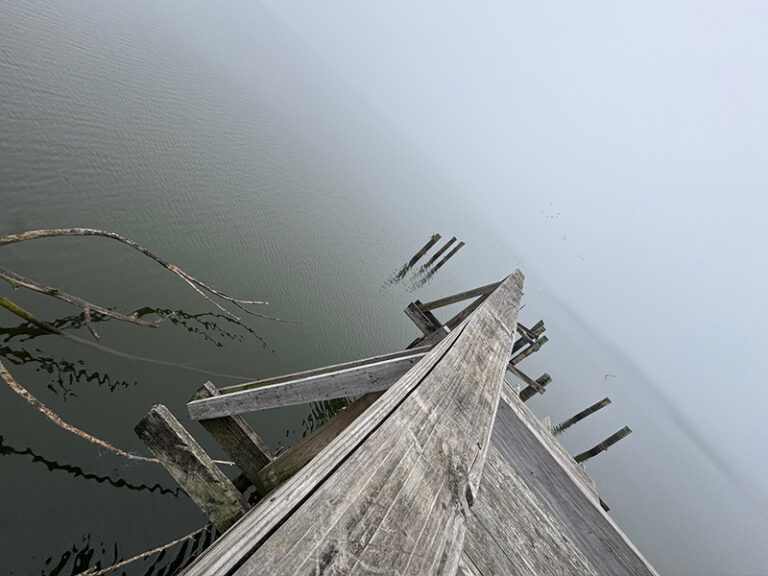 Living in the Middle