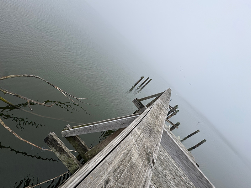 Living in the Middle